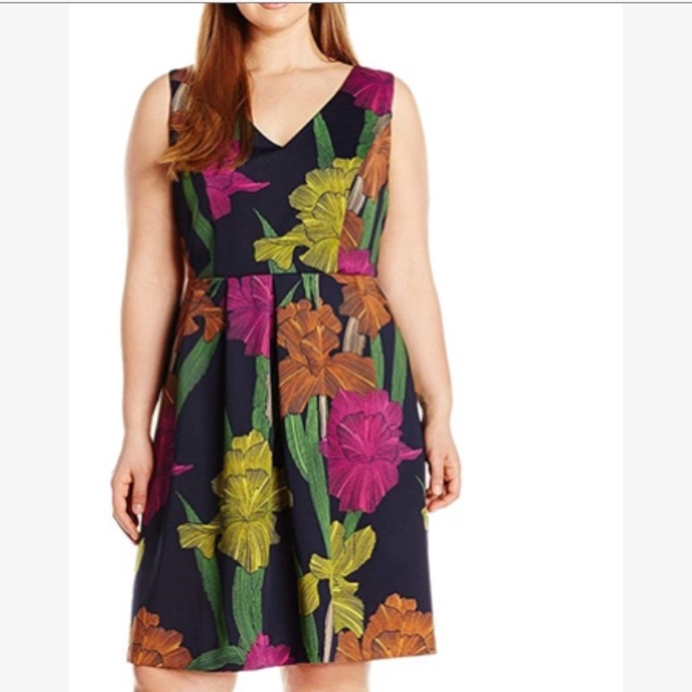 Sangria Floral Print Fit Plus Size Dress
